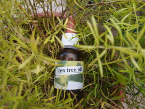 Deodorante in polvere aromatizzato - Tea tree oil
