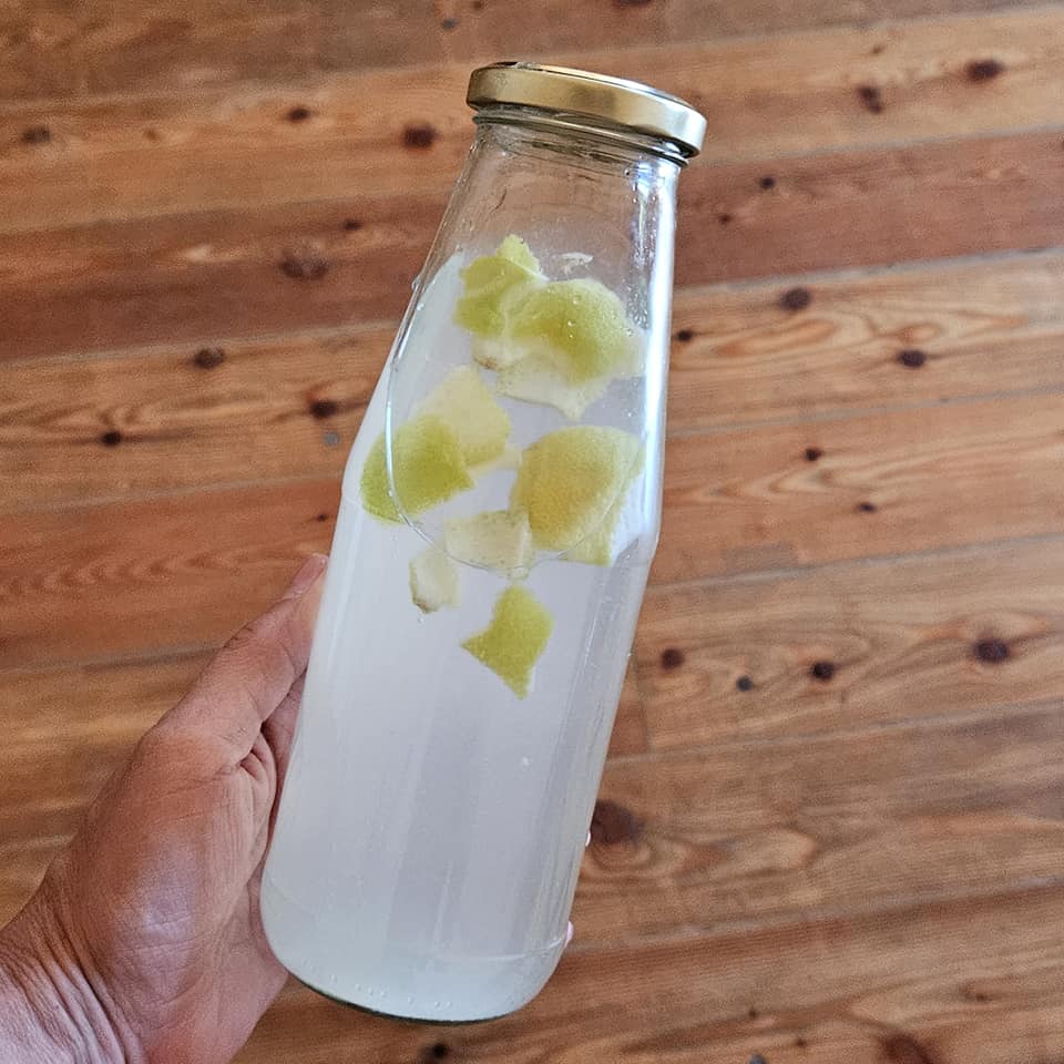 Kefir all'acqua tibicos: cos'è e come produrlo