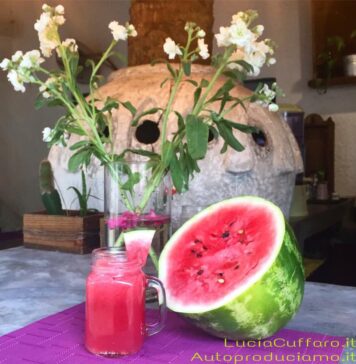 Simil-Granita Veloce di cocomero e melone: la ricetta rinfrescante dell’estate acqua aromatizzata cocomero