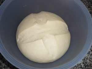 Pasta madre - Rinfresco