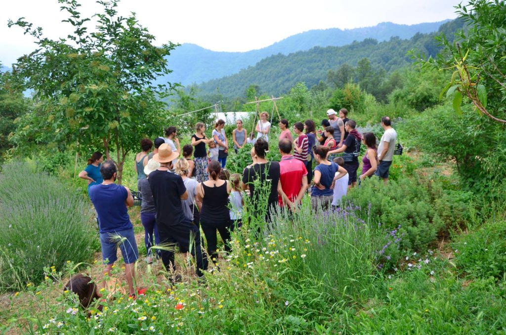 Corso di Autoproduzione - Fattoria dell'Autosufficienza - Lucia Cuffaro