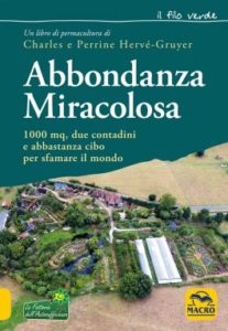 recensione abbondanza miracolosa