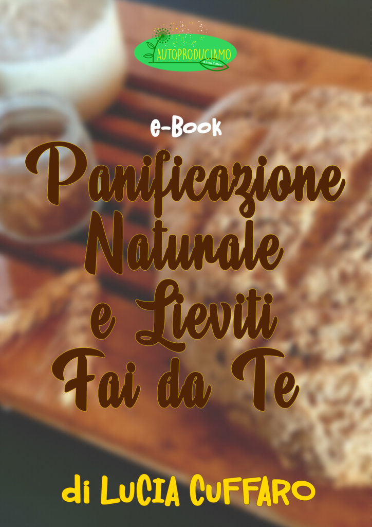 Ebook Panificazione Naturale e Lieviti Fai da Te - Lucia Cuffaro - Newsletter Autoproduciamo