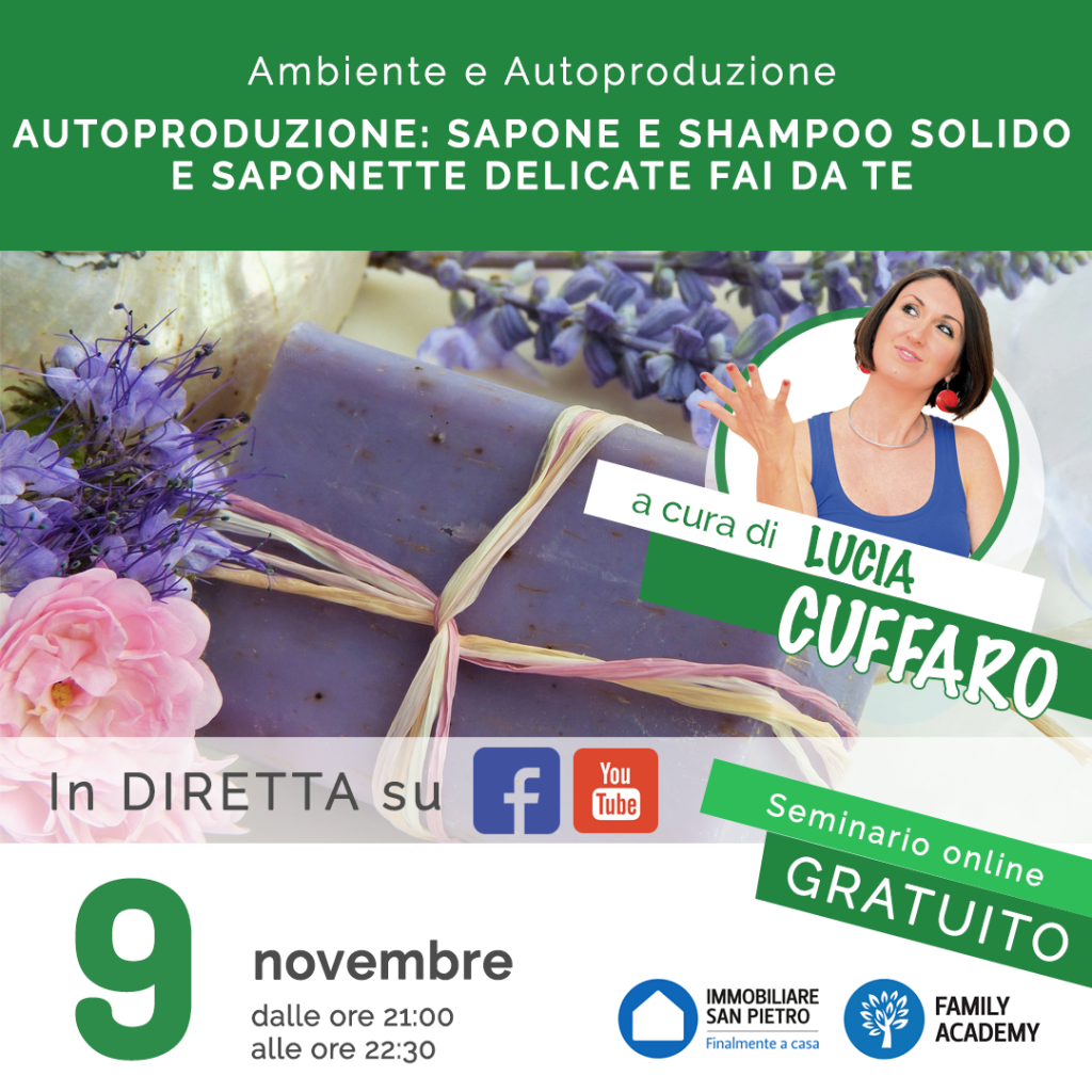 Seminario Sapone e Shampoo Solido