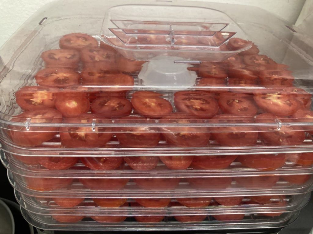Pomodori peretti - Essiccati
