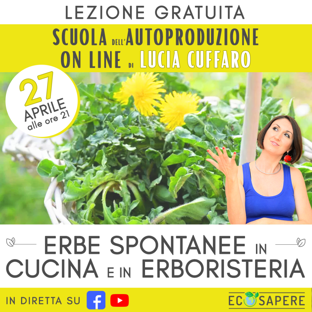 Lucia Cuffaro - Erbe spontanee in cucina ed in erboristeria - Lezione in diretta