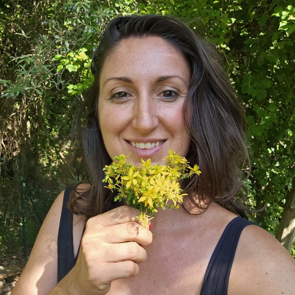 Lucia Cuffaro Come fare l'oleolito di Iperico o erba di San Giovanni