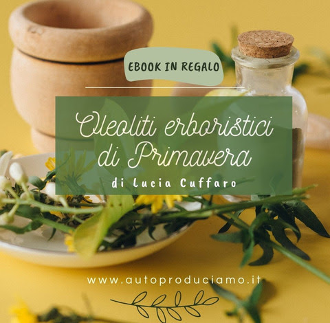 ebook oleoliti Lucia Cuffaro