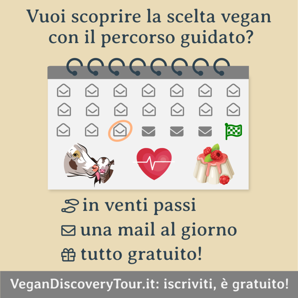 Vegan Discovery Tour - Calendario