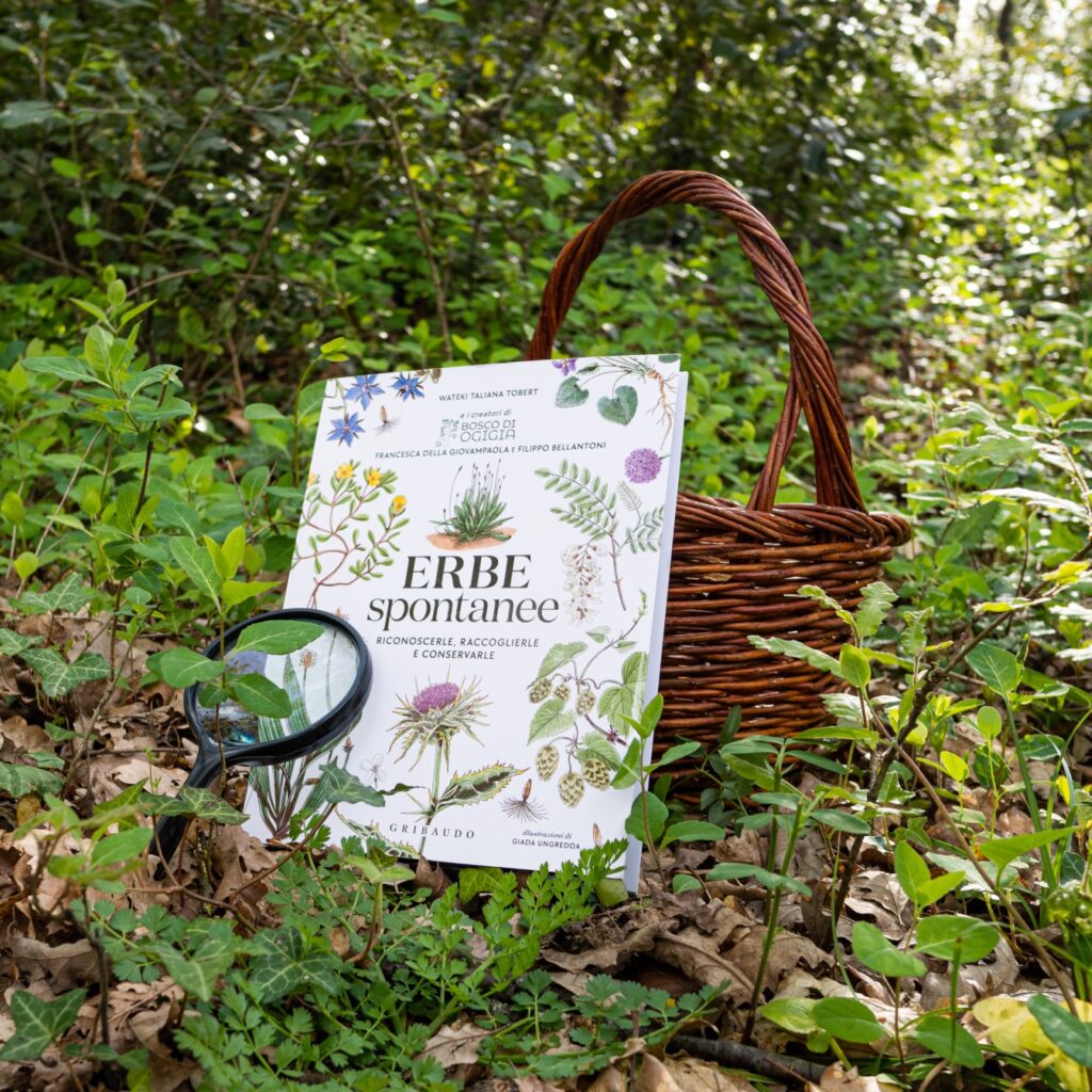 Erbe Spontanee - Copertina Libro - Bosco di Ogigia