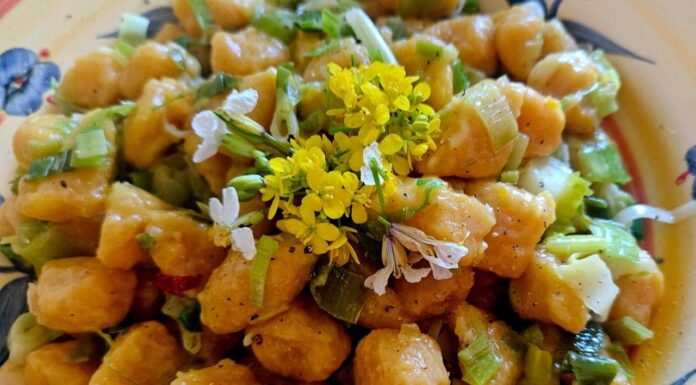 Gnocchi di zucca e fagioli: ricetta veg facile
