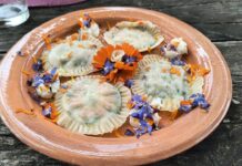 Pasta fresca con fiori ed erbe spontanee vegan