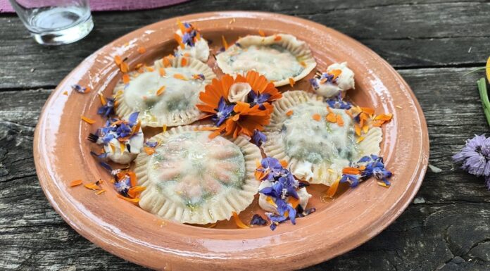 Pasta fresca con fiori ed erbe spontanee vegan