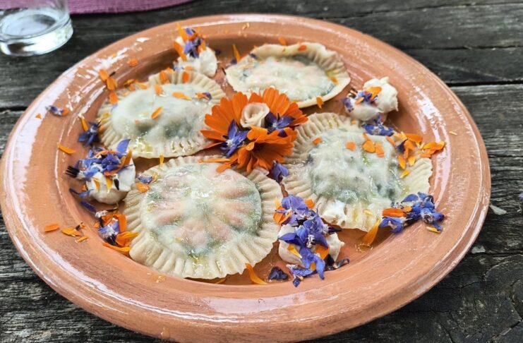 Pasta fresca con fiori ed erbe spontanee vegan